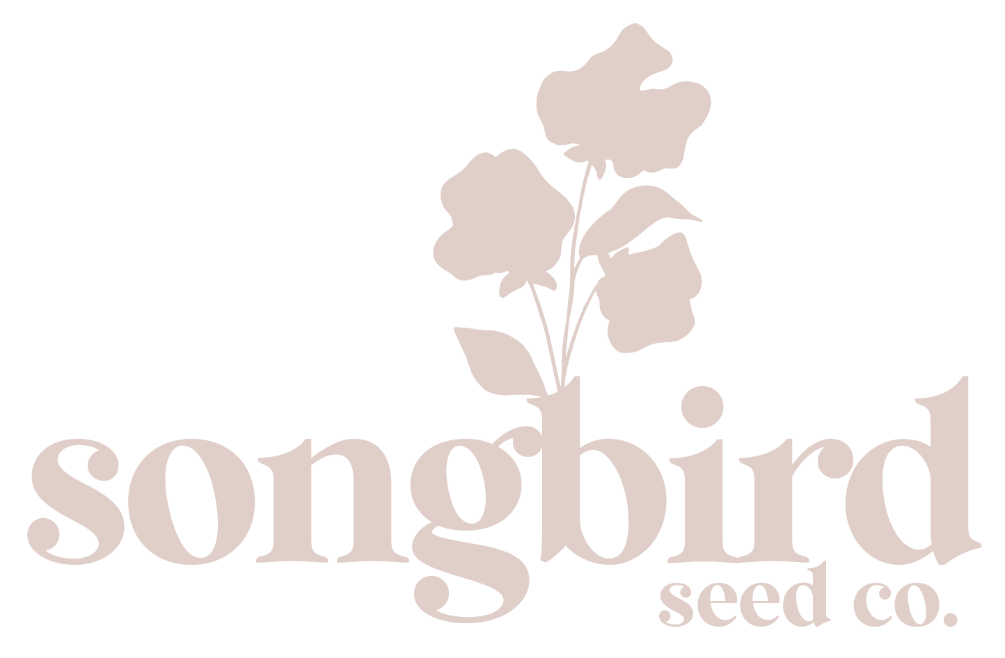 Sweet Pea Strawberry Fields — Songbird Seed Co.